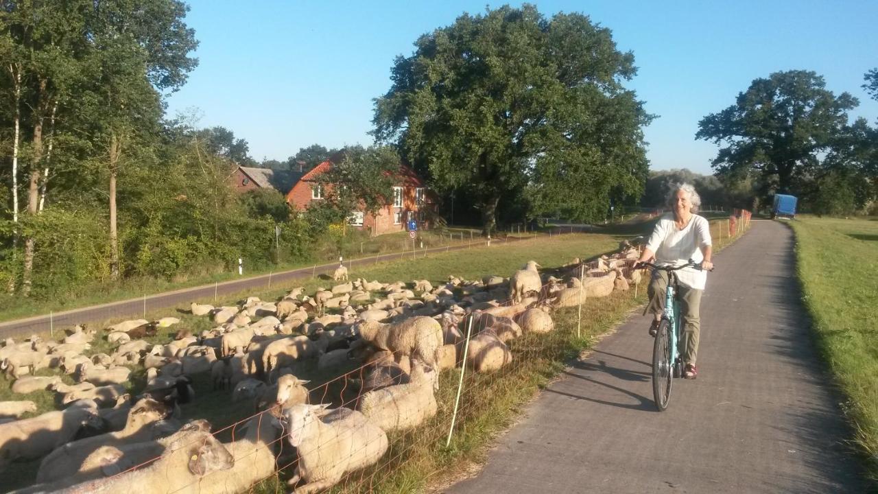 Schillers Stadthaus Hitzacker Eksteriør billede