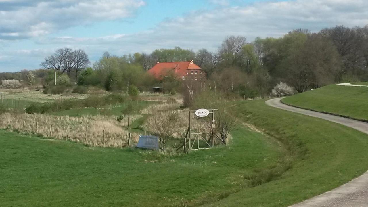 Schillers Stadthaus Hitzacker Eksteriør billede